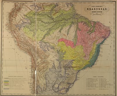 Carte des provinces floristiques du Brésil par Martius - Unbekannt Unbekannt